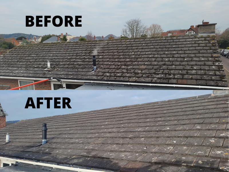 Moss Removal Somerset