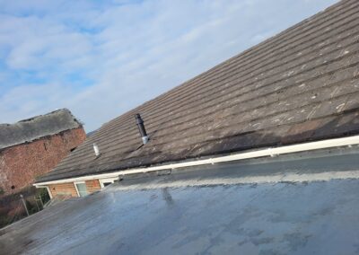 Moss Removal Roof Treatment